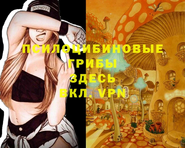 амфетамин Алексеевка