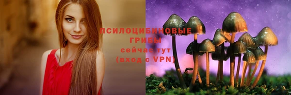 винт Абаза