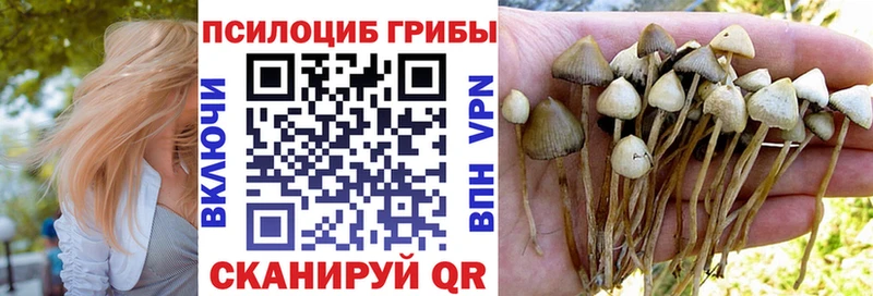 Галлюциногенные грибы мицелий Морозовск