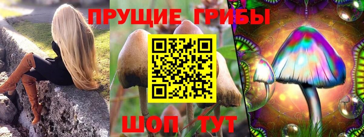 Галлюциногенные грибы Psilocybe  Вход с VPN  Псилоцибиновые грибы MAGIC MUSHROOMS  Морозовск 